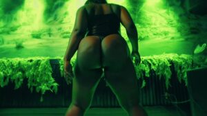 Gynormous Assets (920)